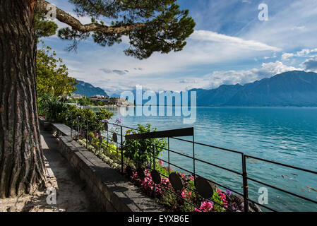 Vue sur le Lac Léman à partir de la promenade de Montreux Banque D'Images