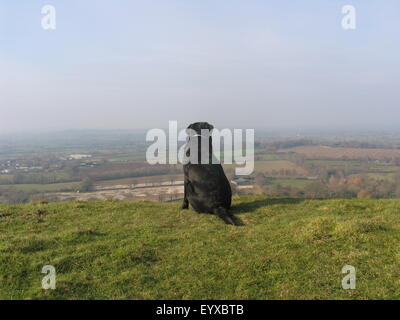 Labrador sur Dorset Banque D'Images