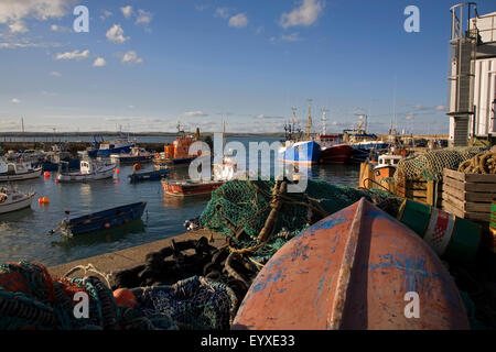 Port de pêche de Cobh, dans le comté de Cork, Irlande Banque D'Images