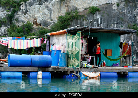 Des maisons flottantes, village de pêcheurs de Vung Vieng, Ha Long Bay, Secteur de Bai Tu Long, près de Ha Long, Vietnam Banque D'Images