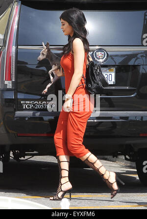 Kylie Jenner et Kendell Jenner arrivent à la Grove portant leurs chiens de compagnie à la fête de lancement des Kendall  + Kylie fashion line à TopShop comprend : Kylie Jenner, Kendall Jenner Où : Los Angeles, California, United States Quand : 03 juin 2015 C Banque D'Images