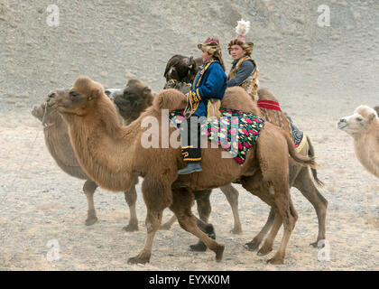 Chameau de Bactriane cavaliers avec l'aigle royal, Aigle, Festival Olgii, l'ouest de la Mongolie Banque D'Images