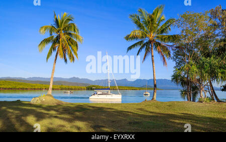 Palmiers dans Rex Smeal Park avec des bateaux sur l'entrée de Dickson. Port Douglas, Queensland, Australie. Banque D'Images