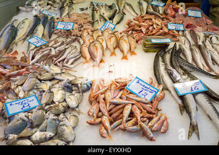 Différents types de poisson frais dans un marché aux poissons Banque D'Images