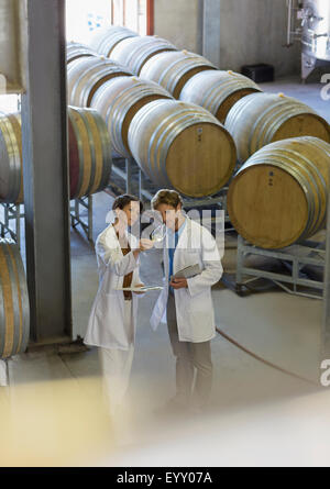 Vin en laboratoire l'examen de vin en cave de vinification Banque D'Images