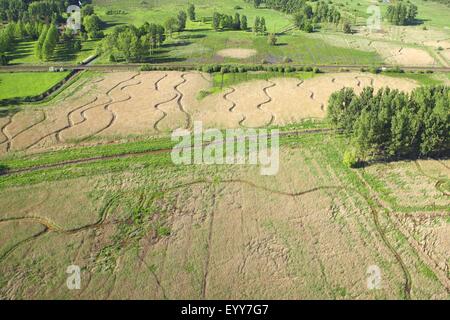 Les zones humides et reedland à partir de l'air, la réserve naturelle Demerbroeken, Belgique Banque D'Images