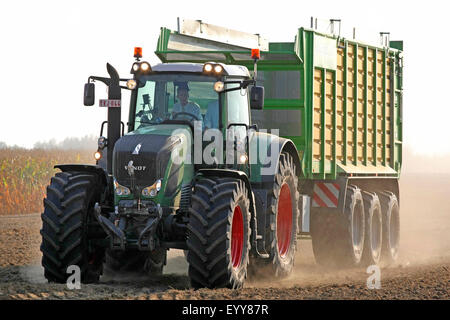 Tracteur avec récipient sur un champ, Belgique Banque D'Images