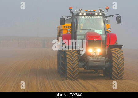 Tracteur avec récipient sur un champ, Belgique Banque D'Images