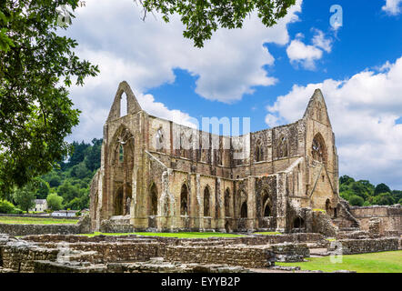 Abbaye de Tintern. Les ruines de l'abbaye de Tintern, près de Chepstow, vallée de la Wye, Monmouthshire, Wales, UK Banque D'Images