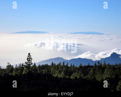 Vue sur Macizo de Teno à La Palma, Îles Canaries, Tenerife Banque D'Images