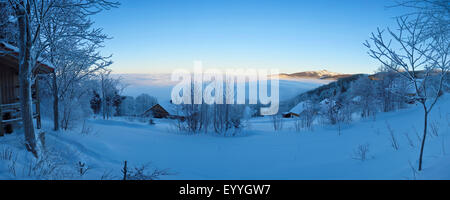 Petit village Waldhaeuser tôt le matin en hiver, l'Allemagne, la Bavière, le Parc National de la forêt bavaroise, Waldhaeuser Banque D'Images