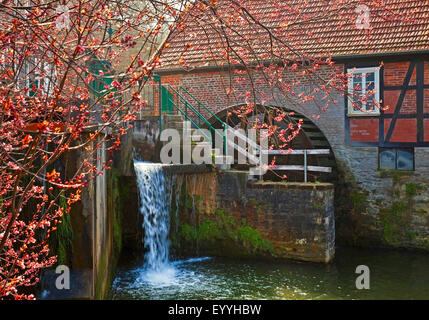 Stueting's Mill dans Belecke, Allemagne, Rhénanie du Nord-Westphalie, Rhénanie-Palatinat, Warstein Banque D'Images