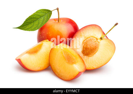 Prune rouge isolé Banque D'Images