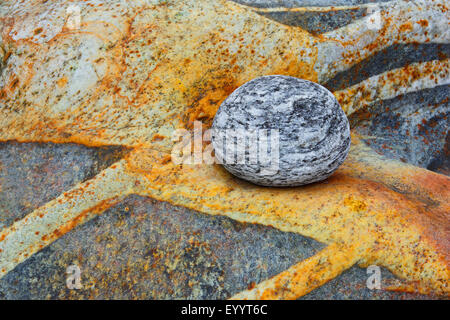 Sur galets de quartz avec des bandes de gneiss, Suisse, Tessin, Verzascatal Banque D'Images