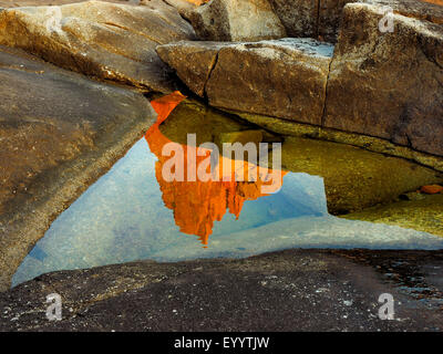 Plage de Rocce Rosse, roches de porphyre rouge miroir dans une mare, Italie, Sardaigne, Arbatax Banque D'Images