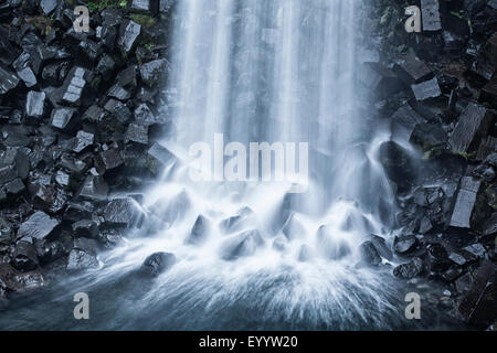 Cascade de Svartifoss, noir de l'automne, l'Islande, Skaftafell, Austurland Banque D'Images