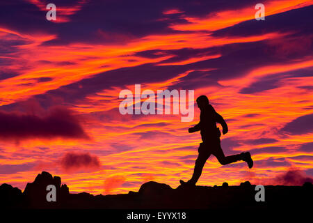 Un homme court sur éboulis rouge au coucher du soleil, Lake District, UK Banque D'Images