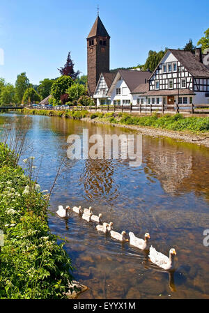 River district 1443 Saalhausen, Allemagne, Rhénanie du Nord-Westphalie, Rhénanie-Palatinat, Attendorn Banque D'Images