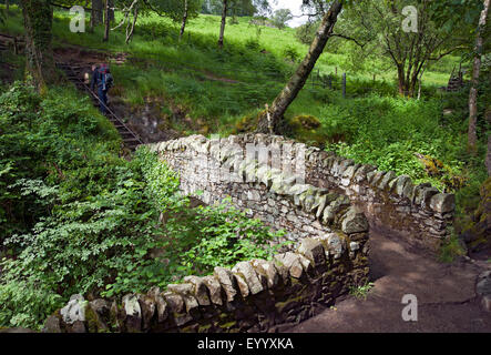 Pont à travers la chute d'eau d'Aira Force près d'Ullswater en été Lake District National Park Cumbria Angleterre Royaume-Uni GB Grande-Bretagne Banque D'Images