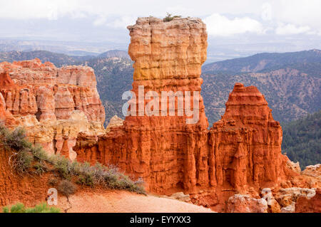 L'érosion de roches sédimentaires à Bryce Canyon, USA, Utah, le Parc National de Bryce Canyon Banque D'Images