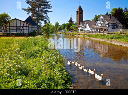 River district 1443 Saalhausen, Allemagne, Rhénanie du Nord-Westphalie, Rhénanie-Palatinat, Attendorn Banque D'Images