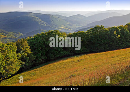 Lookout Point sur le paysage près de Sundern, Allemagne, Rhénanie du Nord-Westphalie, Rhénanie-Palatinat, Sundern Banque D'Images