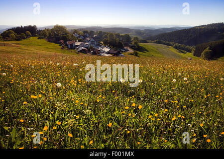 Lookout Point sur le paysage près de Sundern, Allemagne, Rhénanie du Nord-Westphalie, Rhénanie-Palatinat, Sundern Banque D'Images