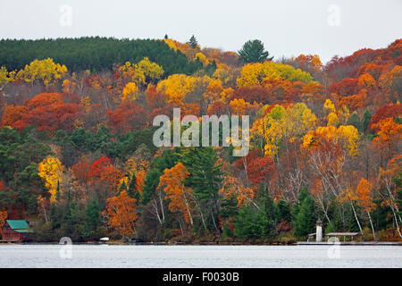 L'été indien sur la frontière de l'Algonquin Provincial Park, Ontario, Canada, le parc provincial Algonquin, Huntsville Banque D'Images