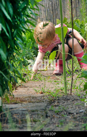 Petite fille jouant dans un jardin, Allemagne Banque D'Images