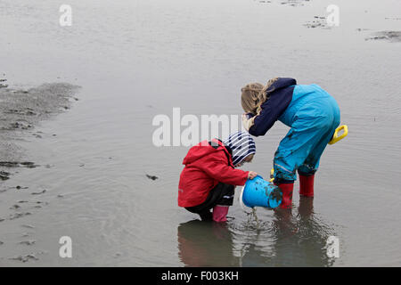 Deux enfants jouant dans la boue, pantalons imperméables et bottes en caoutchouc, ALLEMAGNE, Basse-Saxe, Cuxhaven Banque D'Images