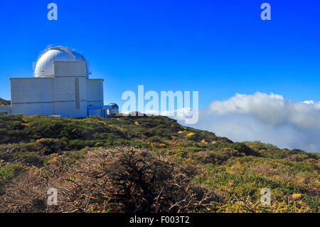L'Observatoire de Roque de los Muchachos, aux îles Canaries, La Palma Banque D'Images