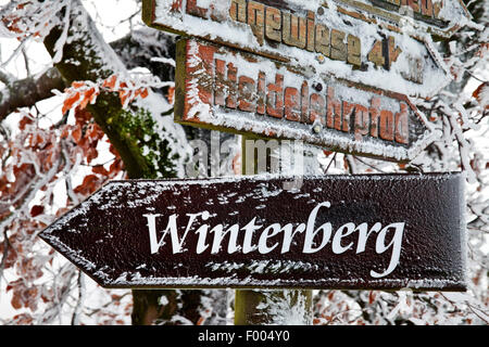 Des panneaux de direction frosty sur la montagne Kahler Asten, Allemagne, Rhénanie du Nord-Westphalie, Rhénanie-Palatinat, Winterberg Banque D'Images