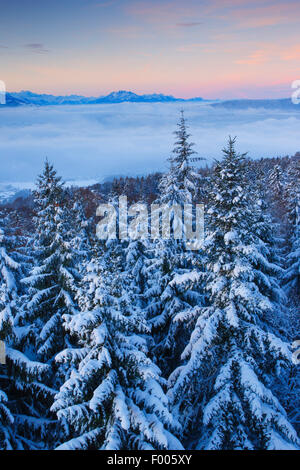 Vue de Pfannenstiel à Zuercher bernois avec Pilatus tôt le matin, Suisse, Zuercher bernois Banque D'Images