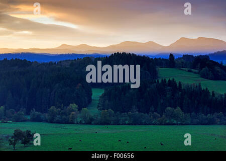 L'allemand pré-Alpes à l'Allgaeu, Allemagne, Bade-Wurtemberg Banque D'Images