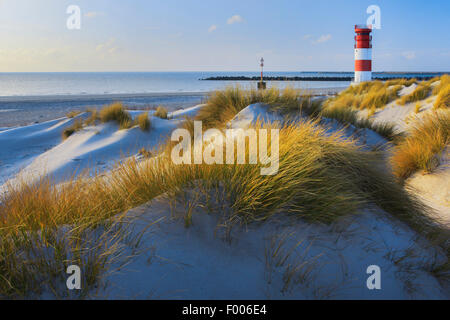 Le phare sur l'île de moindre Duene, phare d'Heligoland Duene, Allemagne, Schleswig-Holstein, Helgoland Banque D'Images