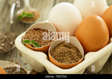 Les graines de lin Chia et grasses d'oeufs placés dans des coquilles d'œufs Banque D'Images