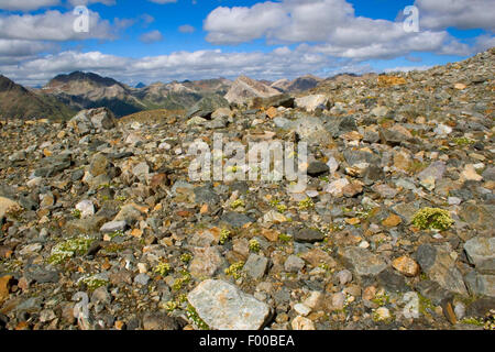 Acre de gravier près du groupe de la Bernina, Suisse, Grisons, Engadine Banque D'Images