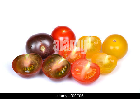 Jardin la tomate (Solanum lycopersicum, Lycopersicon esculentum), tomates cerises jaune, rouge et noir Banque D'Images