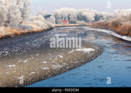 Rivière à marées Durme avec reflet d'arbres couverts de neige et reed fringe, Belgique Banque D'Images