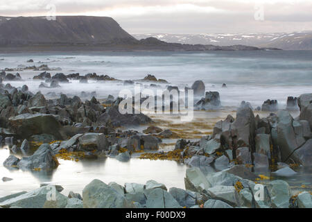 Littoral houleux et des sommets enneigés, til fjells le long de la côte, mer Barentz, Norvège, Varangerfjord Banque D'Images