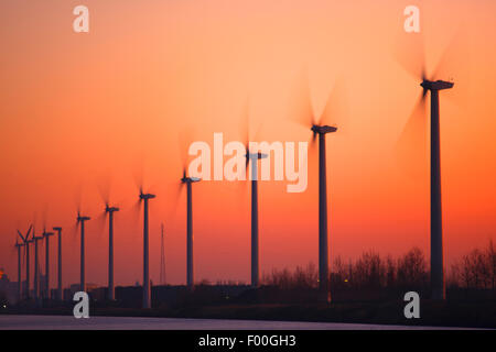 Moulins à vent au coucher du soleil, Belgique Banque D'Images