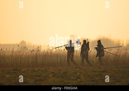 Les ornithologues, marcher le long de reed fringe au coucher du soleil, Belgique Banque D'Images