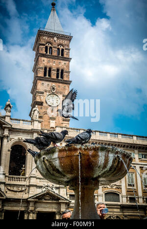 Les pigeons dans l'extérieur de la fontaine à l'Est avant de la Basilica di Santa Maria Maggiore Banque D'Images