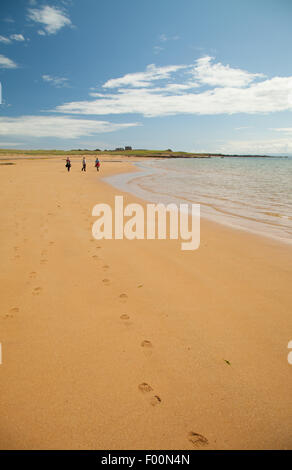 Trois personnes marchant sur une plage à Elie Fife Ecosse Banque D'Images