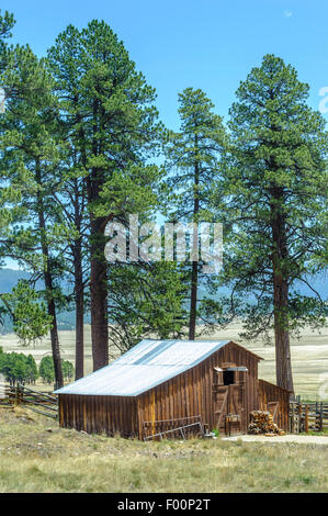 Log Cabin dans la Valles Caldera National Preserve. Jemez. Le Nouveau Mexique. USA Banque D'Images