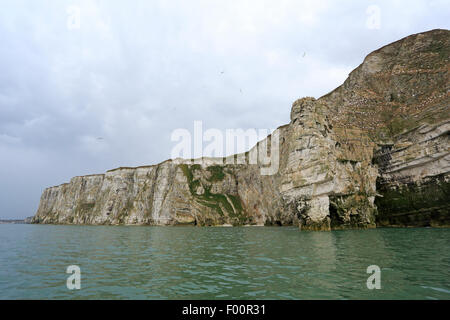 Vue sur les falaises de Bempton RSPB Réserve à pris forme la mer Banque D'Images