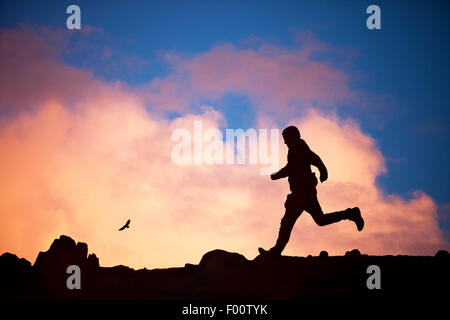 Une buse en vol avec coucher du soleil nuages sur Ambleside, Lake District, UK, et d'un homme passé en courant. Banque D'Images