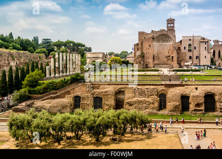 Le Temple de Vénus et Rome vu du Colisée. Rome, Italie. Banque D'Images