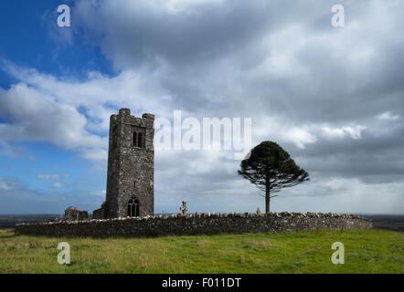 Friary église construite en 1512 par l'un des St Patrick's premier convertit, Slane Hill, comté de Meath, Irlande Banque D'Images