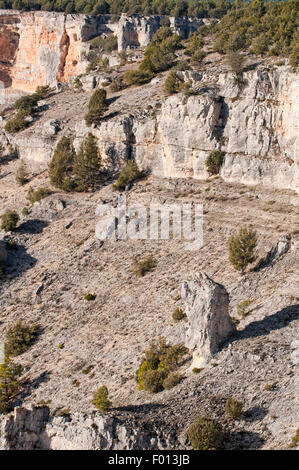 Avis de Cañon del Rio Lobos Parc naturel de 'La Galiana" point de vue. Soria. L'Espagne. Banque D'Images